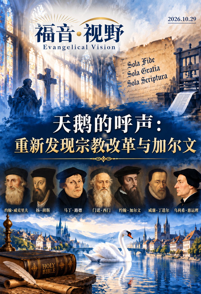 天鹅的呼声:重新发现宗教改革与加尔文